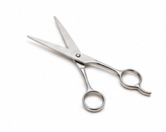 Scissors